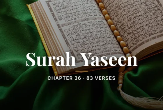Surah Yaseen PDF, chapter 36, 83 verses